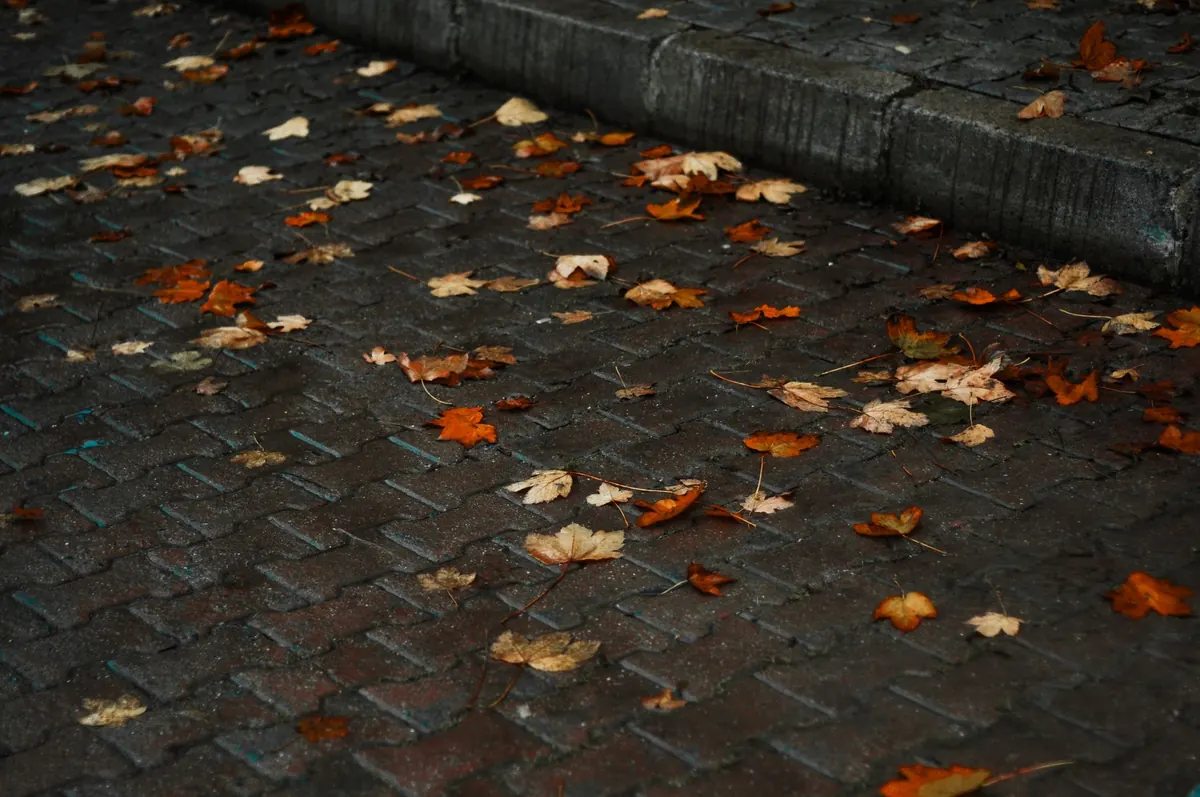 Autumn Reset: Using the Changing Season to Rethink Your Priorities