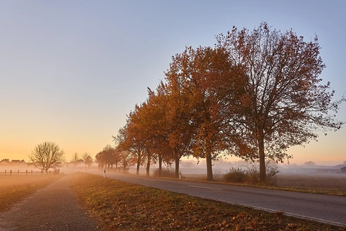 Walking as Philosophy: What a Daily Wander Does for Your Mind